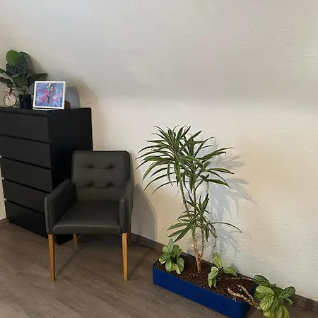 In Einem Wohngebiet Bei Frankfurt * Nidderau