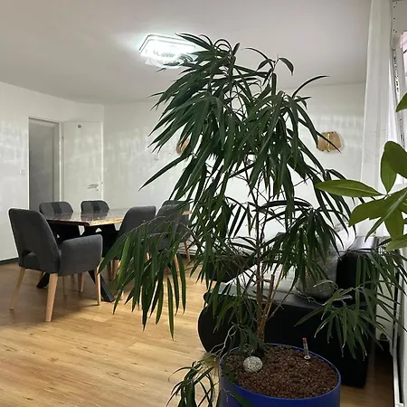 Apartment In Einem Wohngebiet Bei Frankfurt